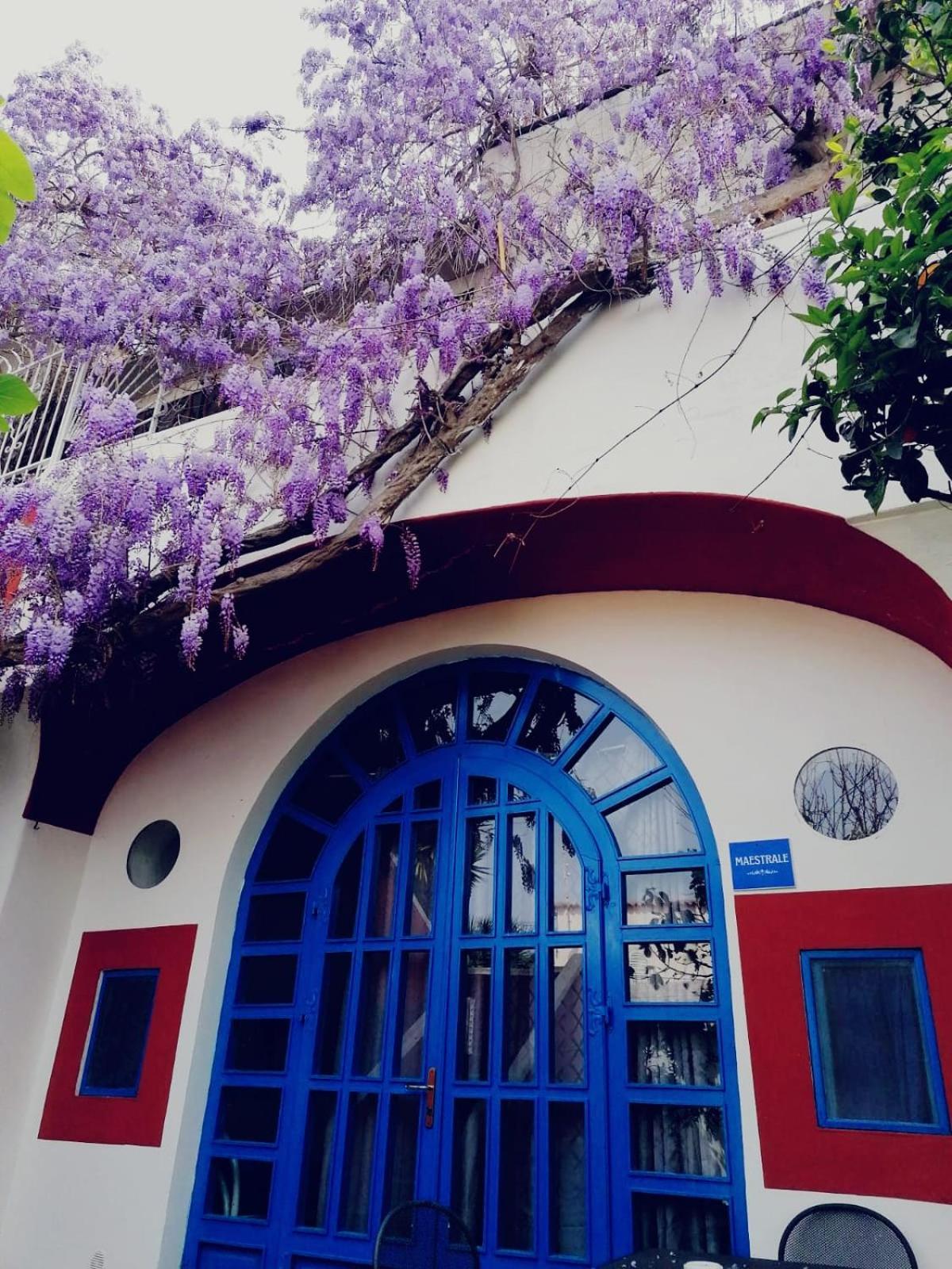 Dimora Coloniale B&B Forio di Ischia Kültér fotó